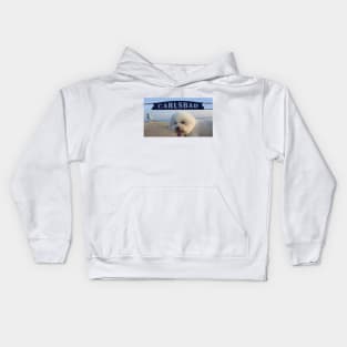 Beachy Bichon Kids Hoodie